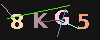 Gambar captcha